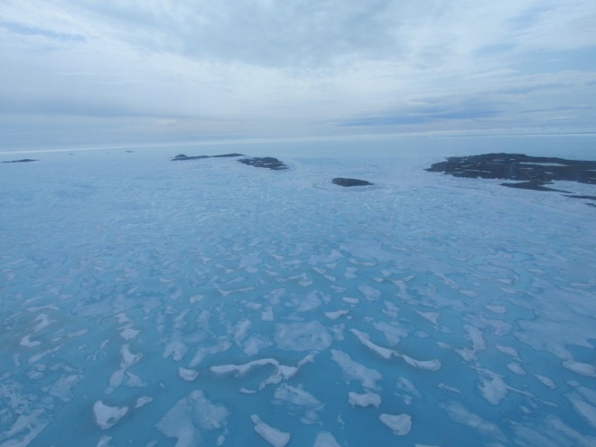 Melting sea ice on Hudson Bay. Photo: Debbie Buehler