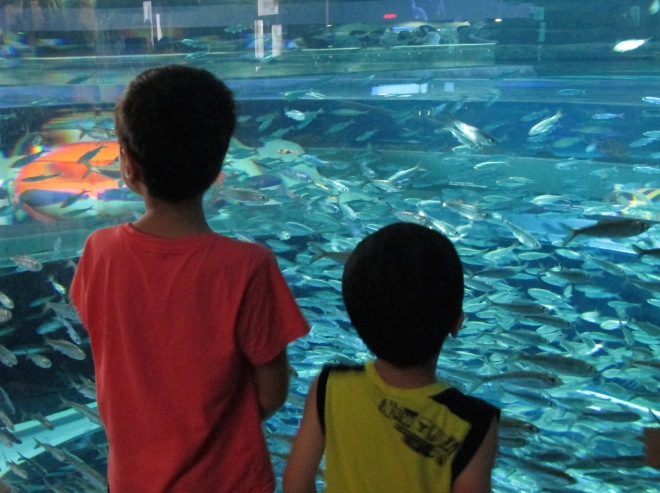 Appreciating my boys at the Aquarium back home in Toronto. Photo: Debbie Buehler